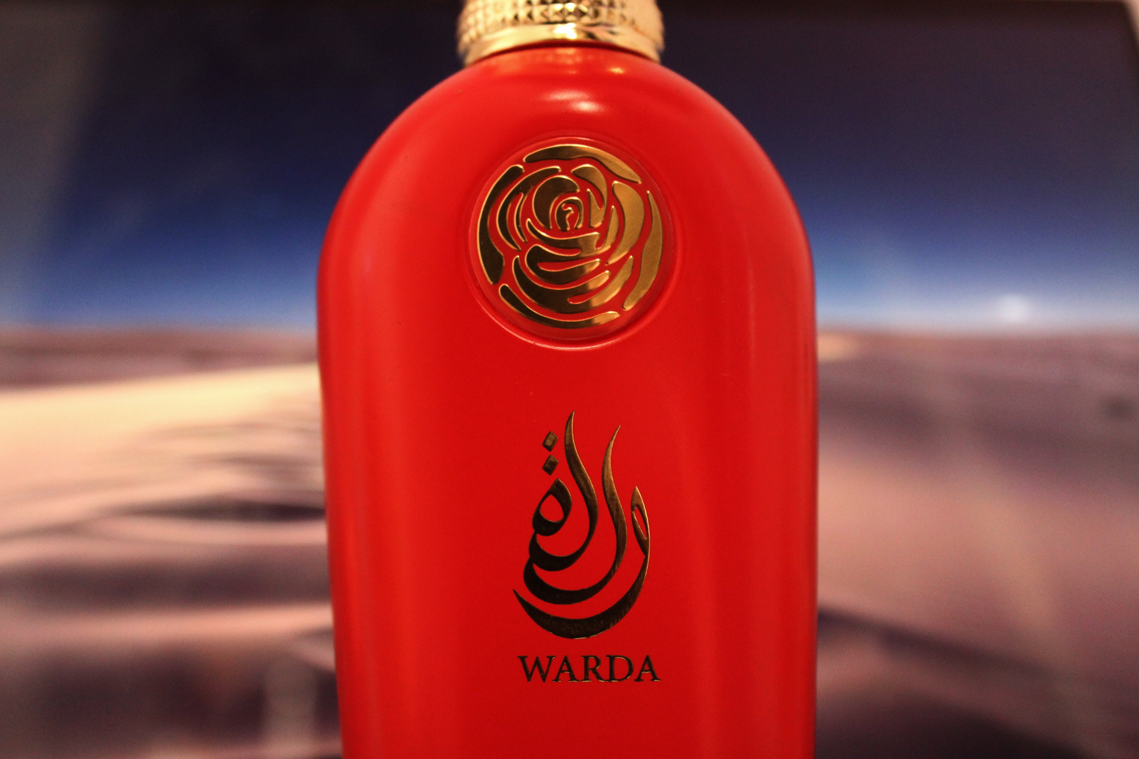 Riffs Shanaya/Warda