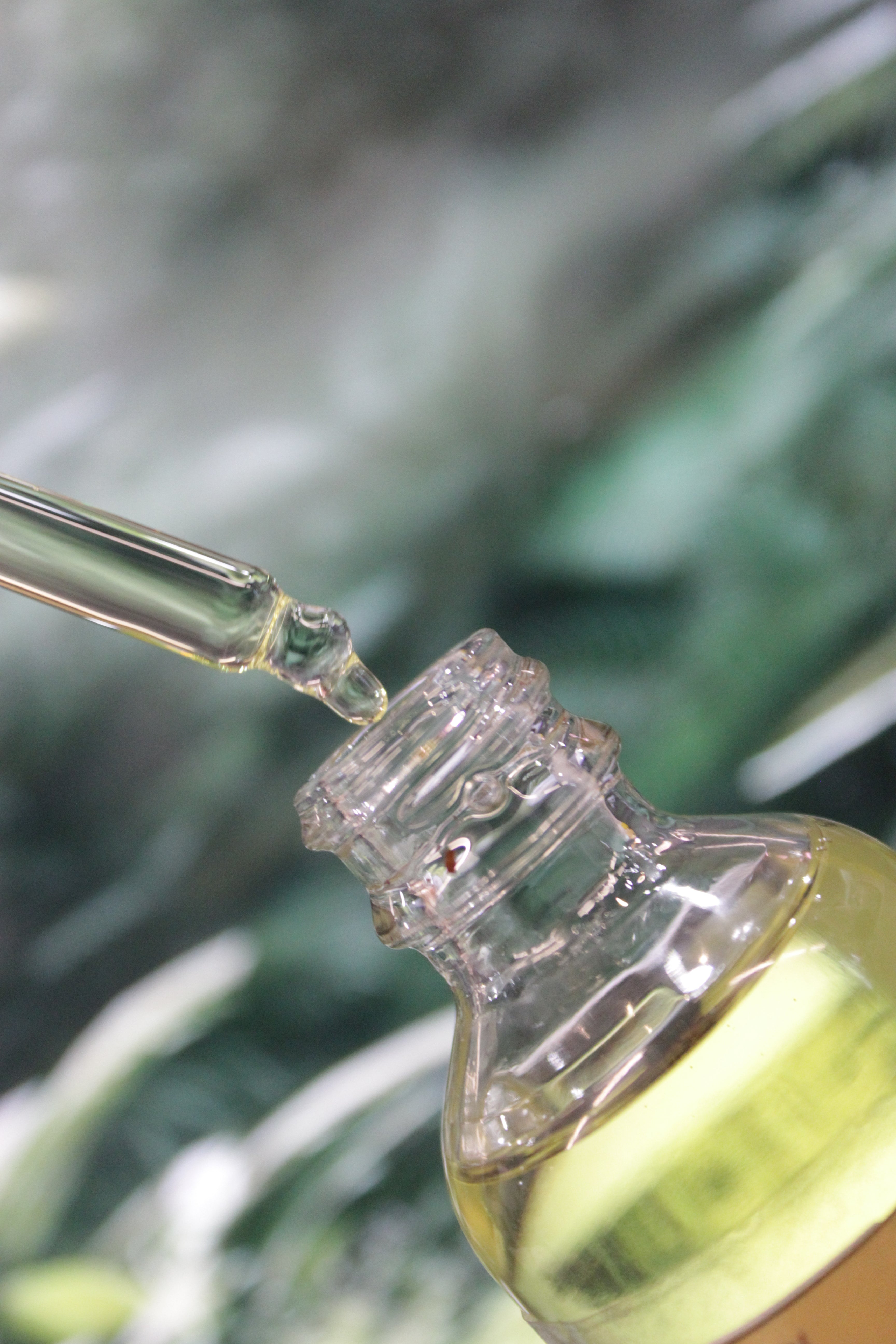 Let’s Glow – Turmeric Brightening Face Oil