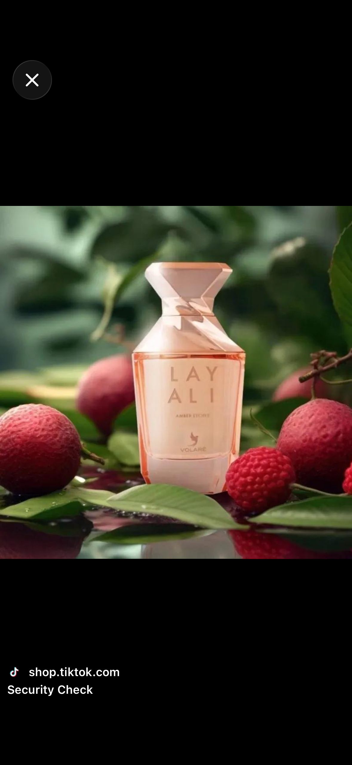 Layali Volare